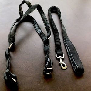 New Dog Leash & Harness